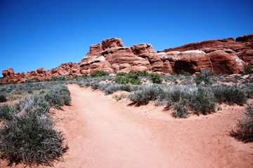 Trail between the 