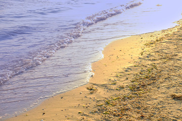 Sunset on the seashore