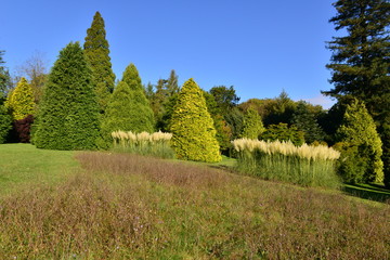 An English country garden in the Autumn