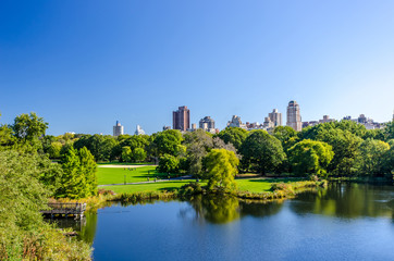 central park view to manhattan with park at sunny day, NewYork City, USA