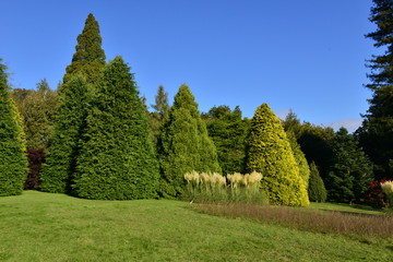 An English country garden in the Autumn