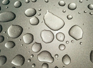 Beauty of the rain drops.