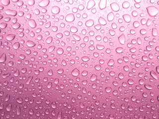 Beauty of the rain drops.