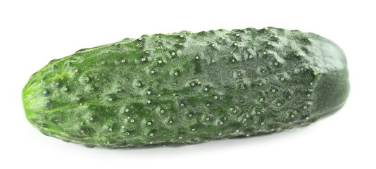 Ripe cucumber isolated on white