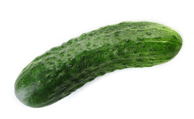 Ripe cucumber isolated on white
