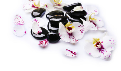 Orchid and zen stones on white background close-up