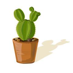cactus in a pot isolated