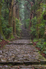 熊野古道の大門坂