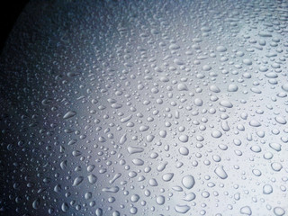 Beauty of the rain drops.