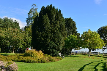 Naklejka premium A garden at an English country estate in Autumn