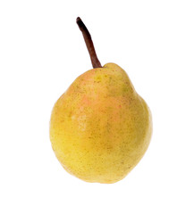 One ripe yellow pear isolated on white background