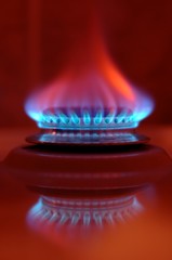 Blue flames of a LPG propane gas stove