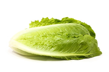 Fototapeta na wymiar Cos lettuce