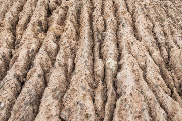 Soil Erosion Pattern and Textured
