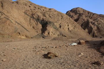 death desert drought stones