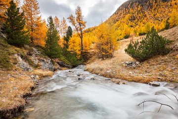 torrente alpino in autunno