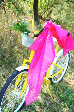 Bicycle with flowers and bottle of wine in metal basket closeup, outdoors