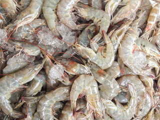 Prawns