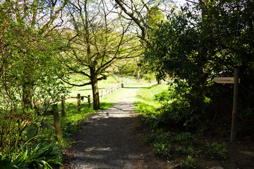 Trail in the lush green countryside