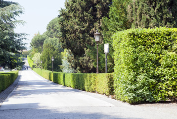 sculptures in gardens of Vatican , Rome, Italy