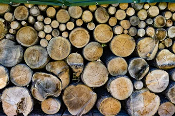 Möbelaufkleber Baumstämme gestapelt © elfgradost