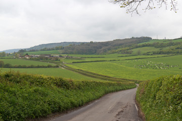 Fototapeta na wymiar Lush farmland landscape in Surrey, England
