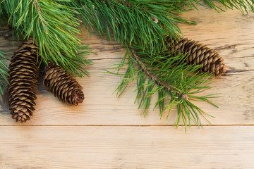 pine branches with cones on a background of light wood