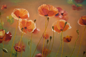 Oil  painting red poppy  flowers.  Spring  floral nature background © elennadzen