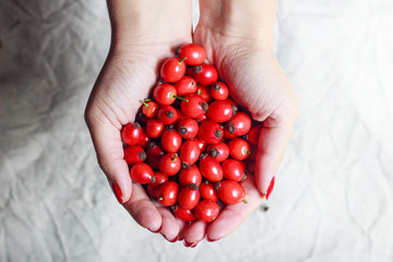 Rose hips in woman hands - body part