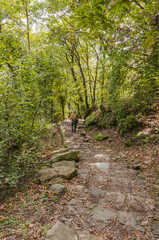 Morcote, Dorf, San Salvatore, Ausflugsberg, Wanderweg, Waldweg, Naturweg, Steintreppe,...