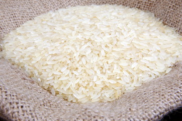 rice closeup
