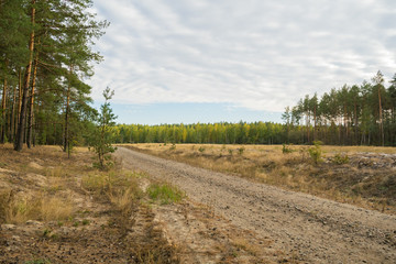 Forest Road