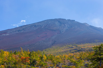Fototapeta premium 紅葉と富士山近景を望む雄大な日本の風景