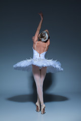 Portrait of the ballerina in ballet tatu on blue background