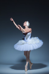 Portrait of the ballerina in ballet tatu on blue background