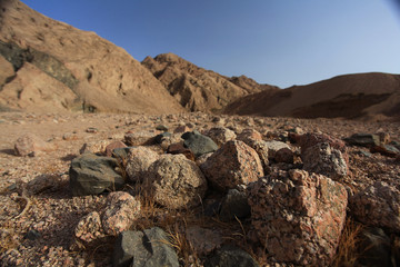 Fototapeta na wymiar death desert drought stones