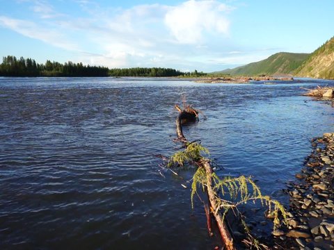 Moma River. Yakutia. The movement of the river.