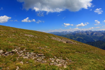 Bergwiese
