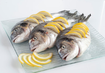 clean and fresh fish with lemon