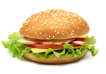 hamburger  studio shooting on white with pen clipping path included