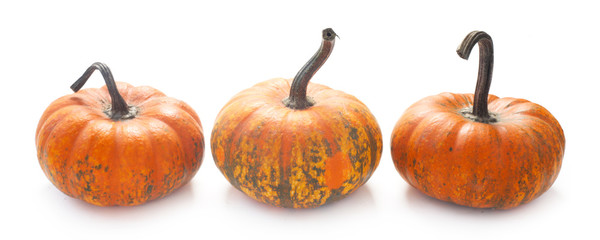 Pumpkins