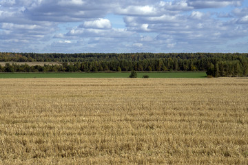 Осень.  Поле.