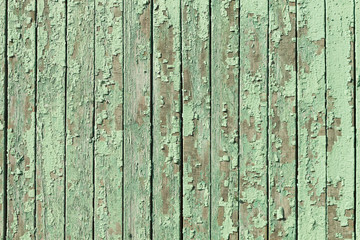 Wooden background.Wooden old backdrop.Light green wood texture with natural patterns background. Cozy natural texture. Gorgeous natural texture. Collection of wooden textures. 
