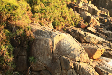 surf rock water wave texture