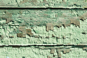 Wooden background.Wooden old backdrop.Light green wood texture with natural patterns background. Cozy natural texture. Gorgeous natural texture. Collection of wooden textures. 
