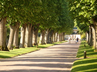 allée bordée d'arbre dans cimetière de Caen