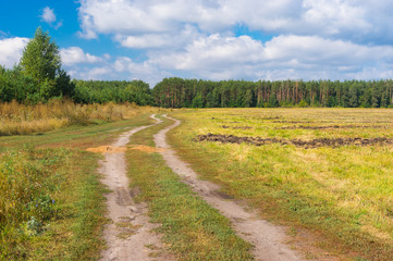 Country landscape with earth road to forest at late summer