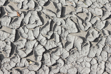 dried mud texture background