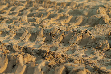 tire tracks in the sand