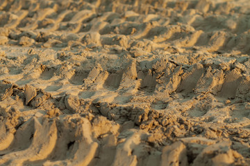 tire tracks in the sand